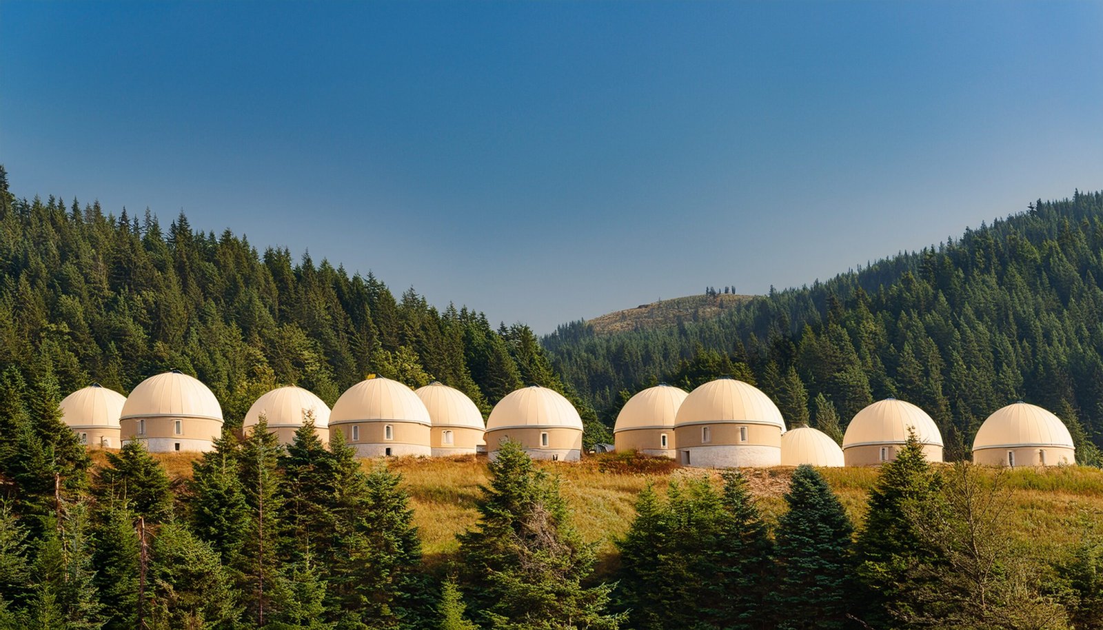 Nurturing Nature: A Vision for Sustainable Village Communities for Women